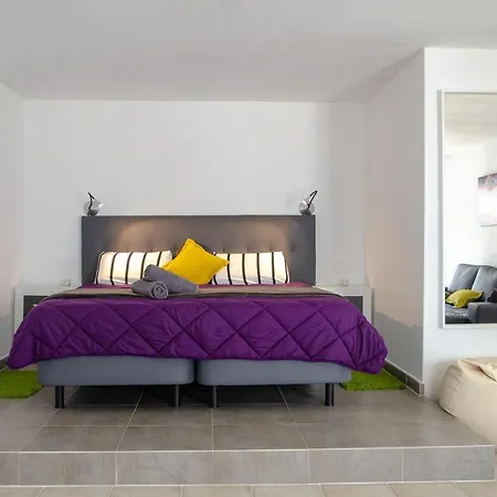 Apartment Colourful @lizard